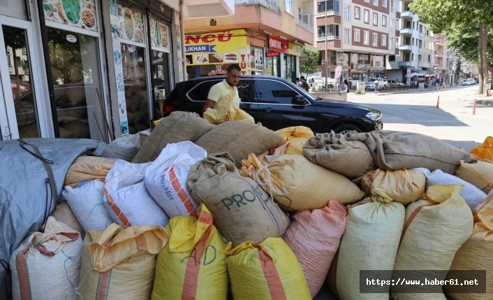 Ordu'da fınfık alımları başladı! İşte Fındık fiyatları