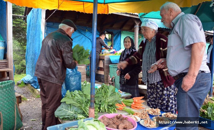 Karadeniz organik ürünleri büyük rağbet görüyor