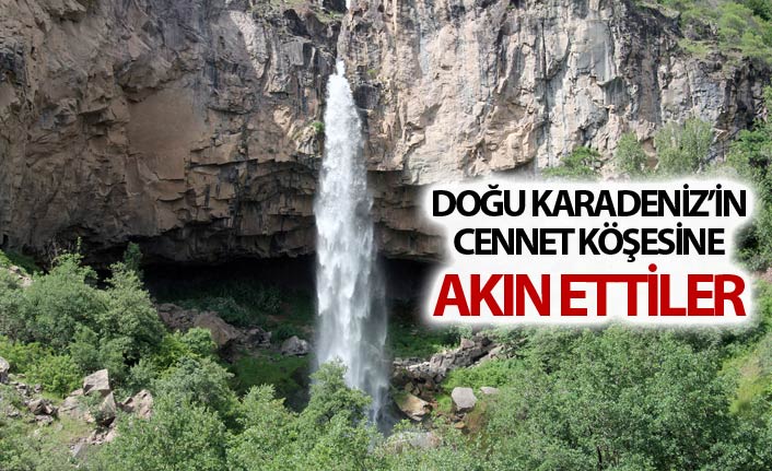 Doğu Karadeniz'in cennet köşesine akın ettiler