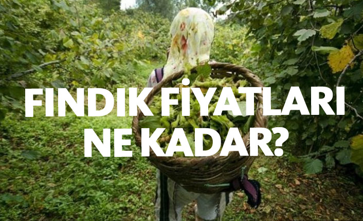 Fındık fiyatları ne kadar? Fındık fiyatında son durum - 27 Ağustos 2018