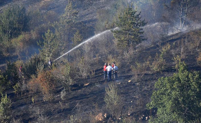 Gümüşhane'de 50 dönümlük alanda yangın