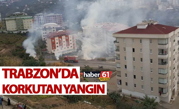 Trabzon'da korkutan yangın