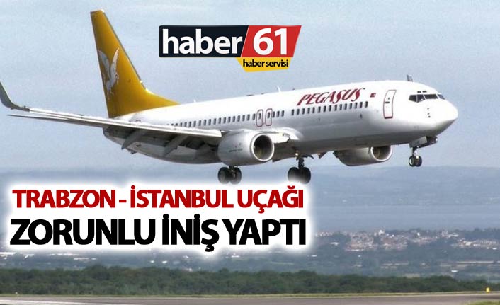 Trabzon İstanbul Uçağı zorunlu iniş yaptı