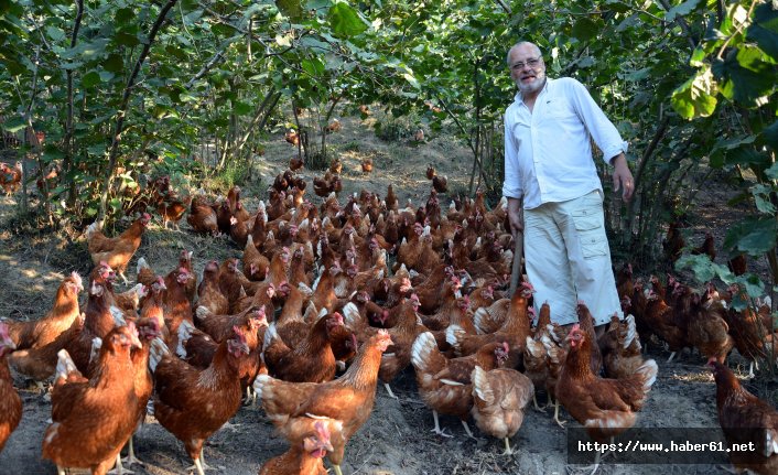 Yıllar önce 60 tavukla başladı tüm köye örnek oldu