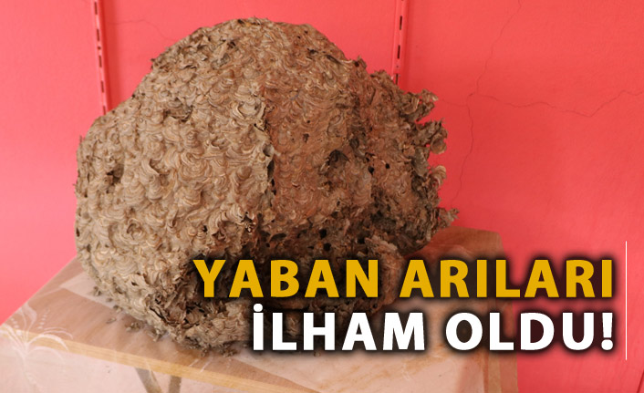 Yaban arıları ilham oldu