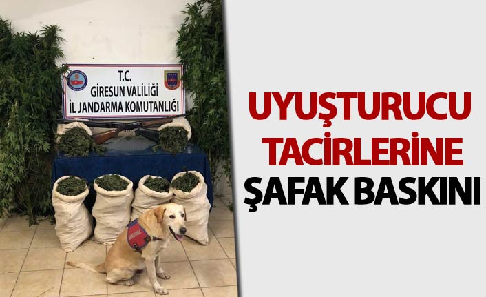 Uyuşturucu tacirlerine şafak baskını