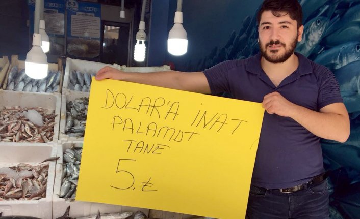 Dolara inat palamt 5 TL