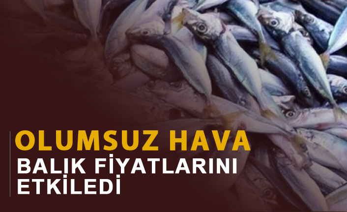 Olumsuz hava balık fiyatlarını etkiledi