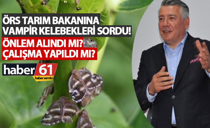 Hüseyin Örs Tarım Bakanına o kelebekleri sordu