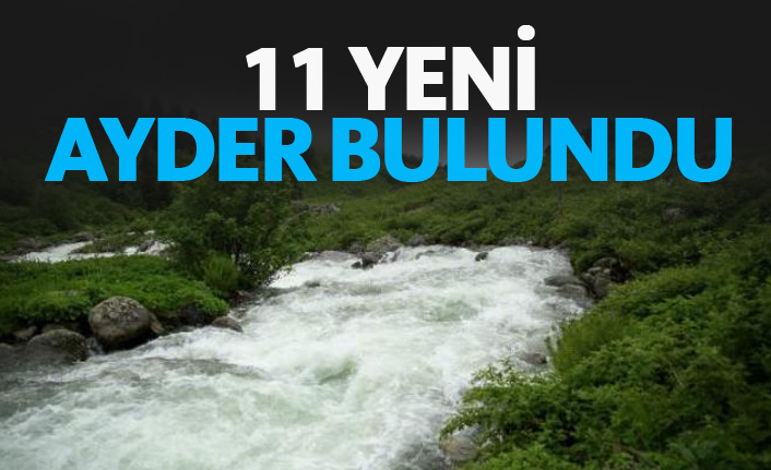 11 yeni Ayder bulundu