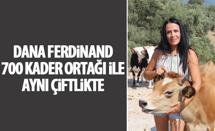 Dana Ferdinad'ın 700 kader ortağı