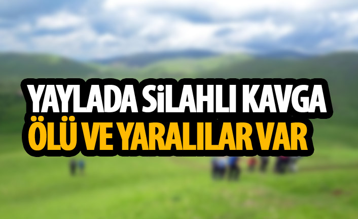 Yaylada çıkan tartışma kanlı bitti: 1 ölü, 2 ağır yaralı 