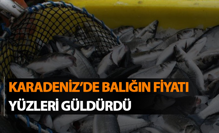 Balığın fiyatı yüzleri güldürdü