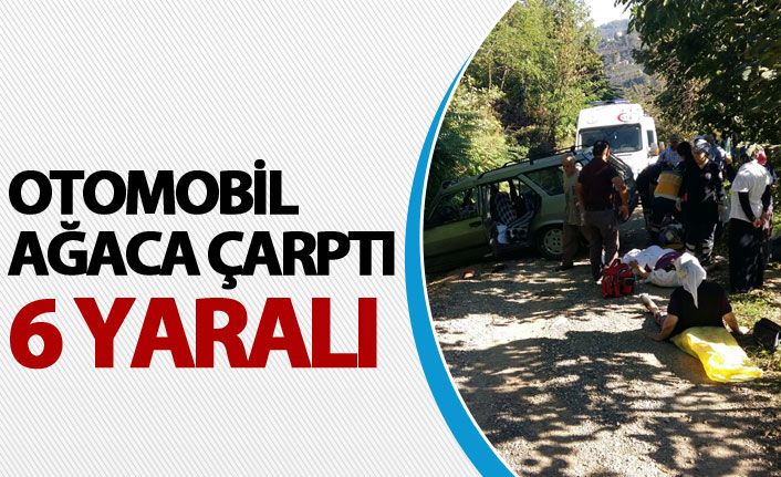 Otomobil ağaca çarptı: 6 yaralı