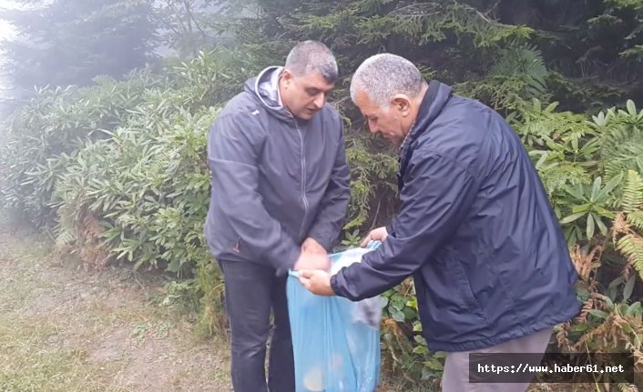 Giresun'dan isyan! Doğayı böyle seven gelmesin!