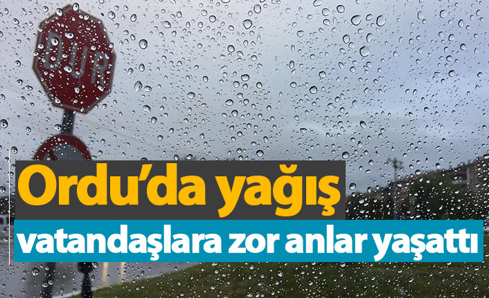 Ordu'da yağış vatandaşlara zor anlar yaşattı