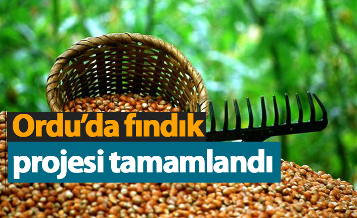 Ordu'da fındık projesi tamamlandı