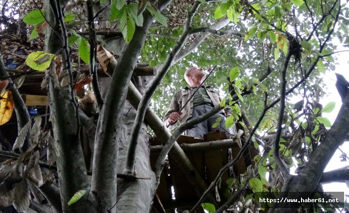 Rize'de atmaca tutkunları pusuya yattı