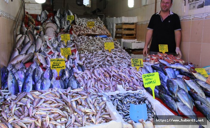 "Kestane karası" balıkları yerinden çıkarttı 