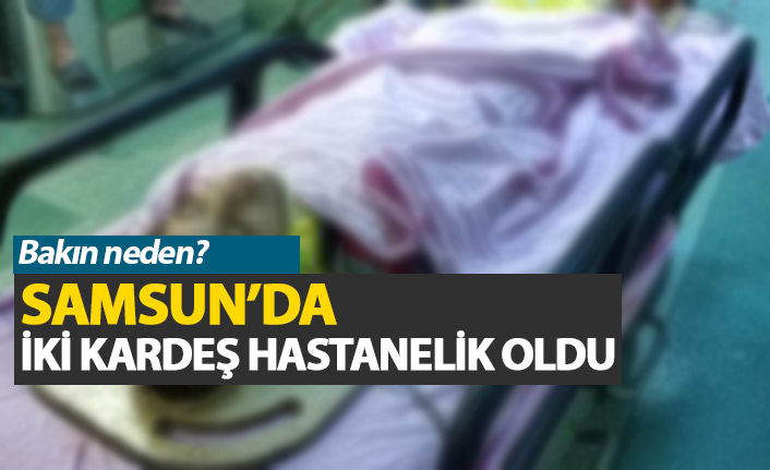 Samsun'da iki kardeş hastanelik oldu