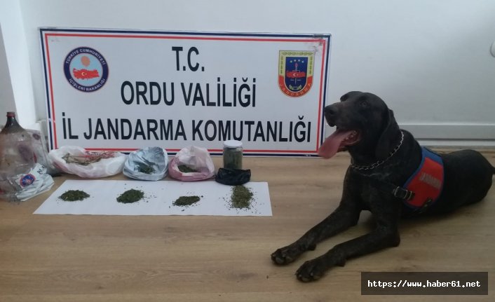 Ordu'da uyuşturucu kullanan kişi hakkında işlem yapıldı