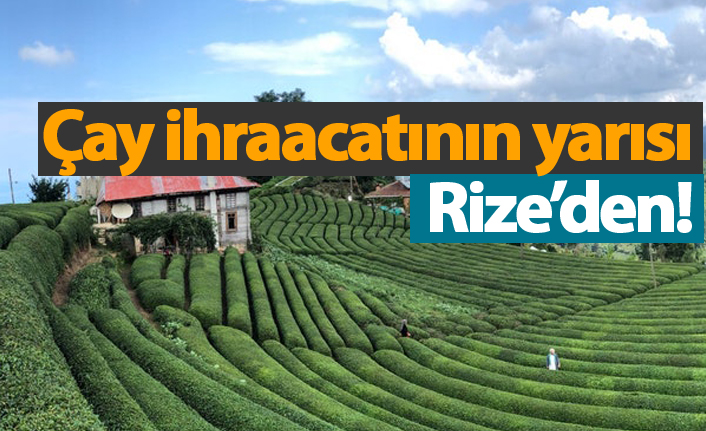 Çay ihracaatının yarısı Rize'den!