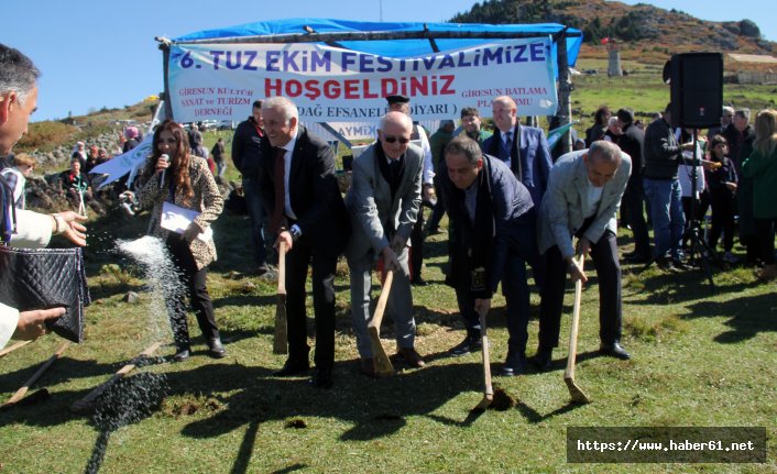 Dağa tuz ektiler