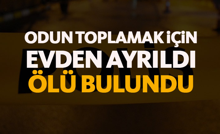 Odun toplamak için evden çıktı olü bulundu