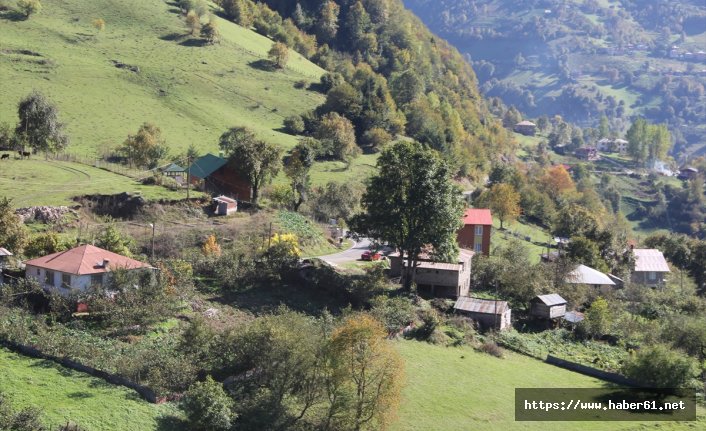 Giresun yaylalarında sonbahar