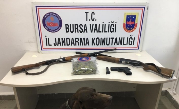 Jandarmadan çiftliğe uyuşturucu baskını