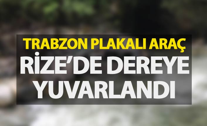 Trabzon plakalı araç dereye yuvarlandı - 6 yaralı