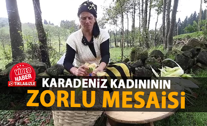 Karadeniz kadınının zorlu mesaisi böyle görüntülendi