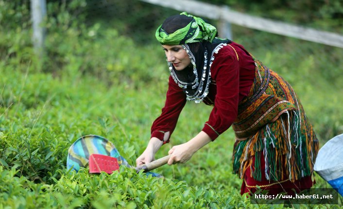 Çay demleme şampiyonu, doğru bilinen yanlışı açıkladı