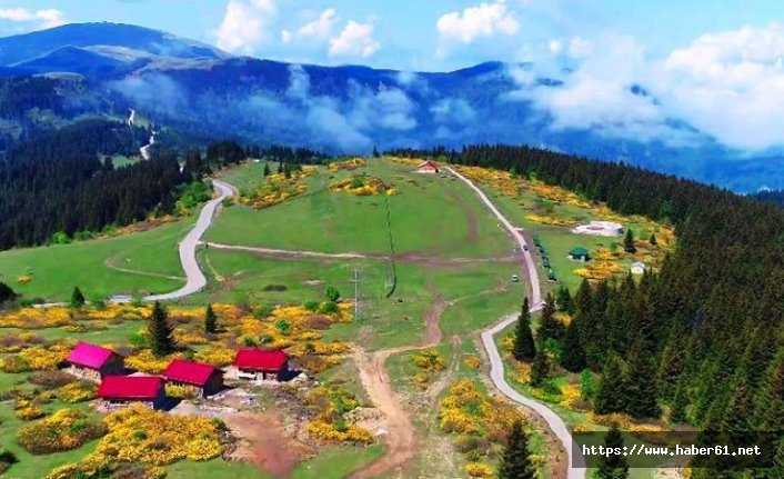 Giresun'da yaylada kundaklama 