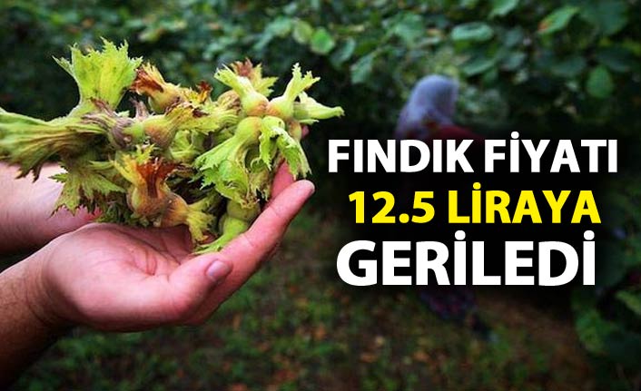  Fındık fiyatı 12.5 liraya geriledi 