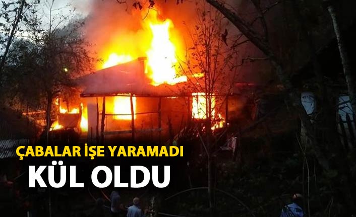 Çabalar işe yaramadı - Ev küle döndü