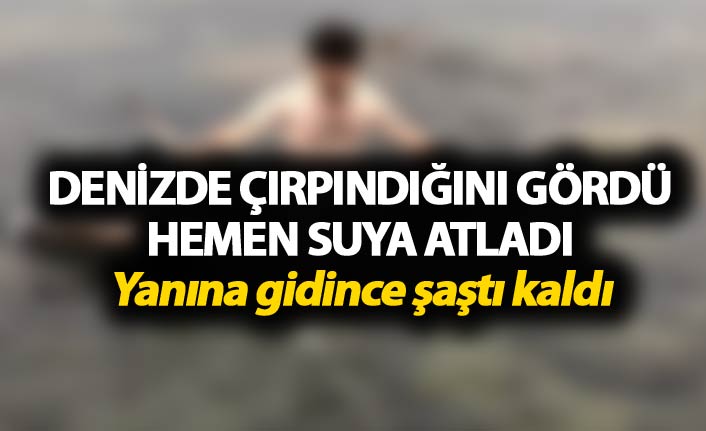 Denizde çırpınırken gördü hemen suya atladı - Ordu'da şaşırtan olay