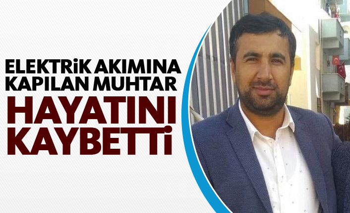 Elektrik akımına kapılan muhtar hayatını kaybetti 