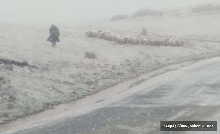 Ordu'ya mevsimin ilk karı düştü