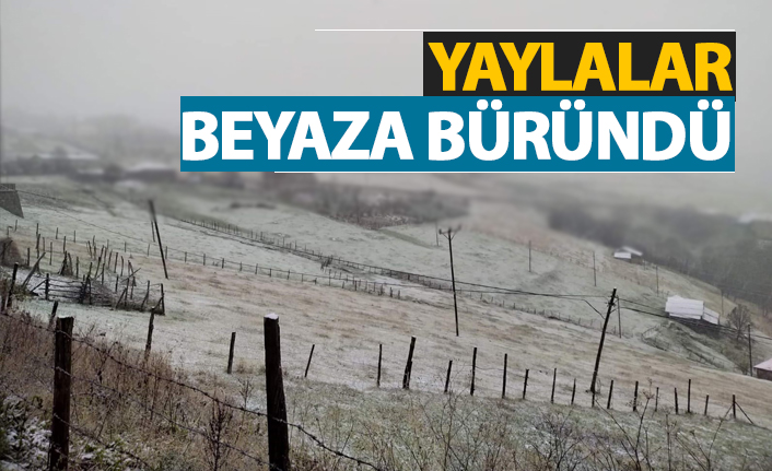 Yaylalar beyaza büründü