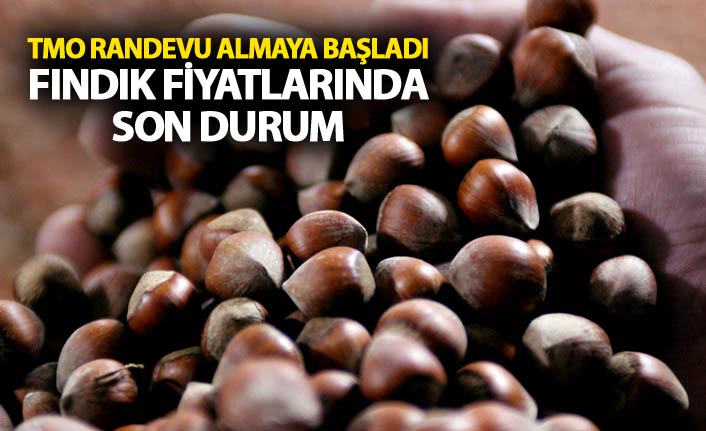 TMO Fındık için randevu almaya başladı - Fındık Fiyatlarında son durum