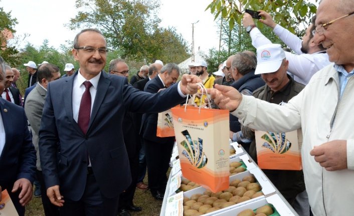 Ordu’da ‘Kivi Hasat Şenliği’ yapıldı