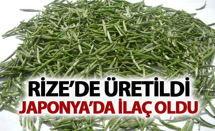 Rize'de üretildi - Japonya'da ilaç oldu