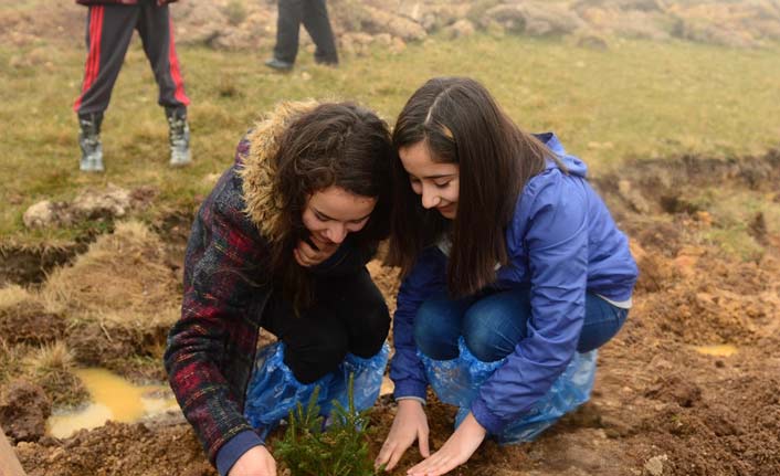 Giresun'da bin fidan toprakla buluştu