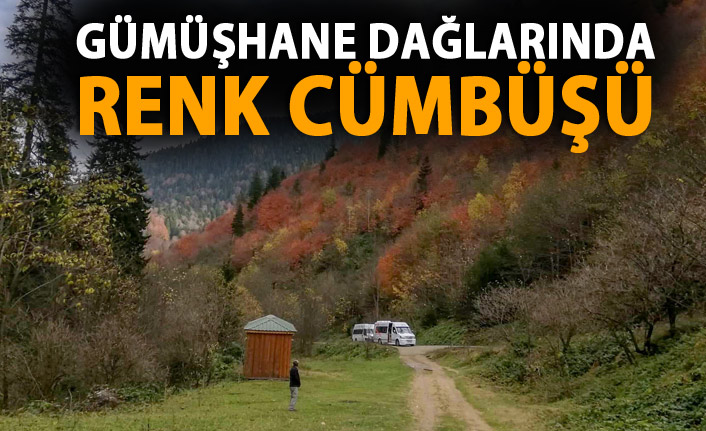 Gümüşhane'de renk cümbüşü