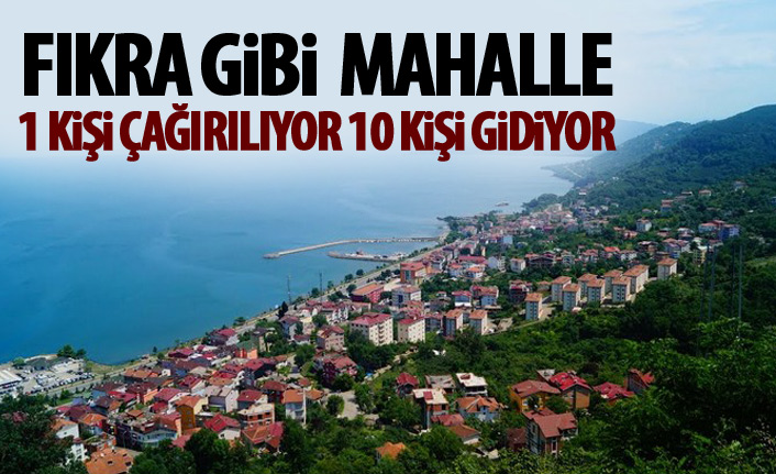 Ordu'da Fıkra gibi mahalle!