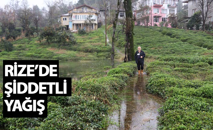 Rize'de şiddetli yağış