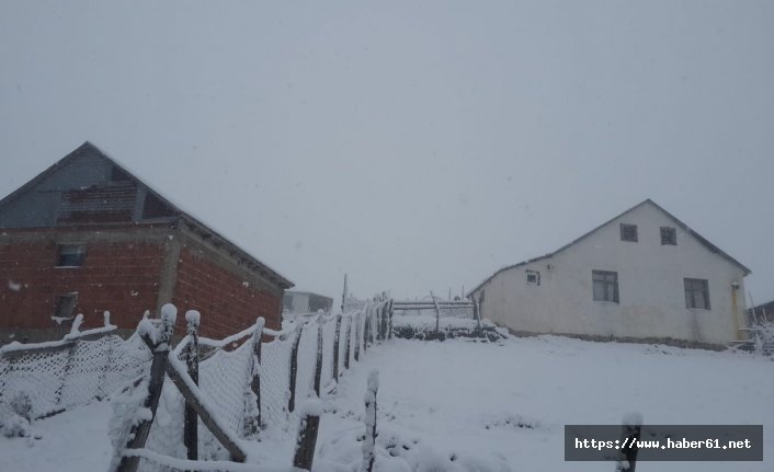 Karadeniz'in yüksek kesimlerinde kar etkili oluyor