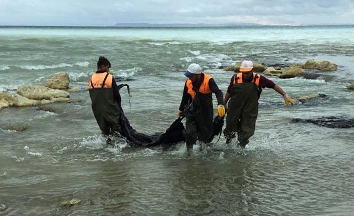 Vatandaşın ihbarı üzerine Van Gölü kurtarıldı