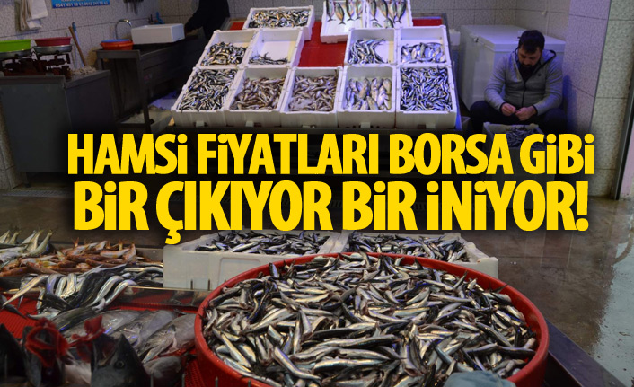 Hamsinin fiyatı borsa gibi bir iniyor bir çıkıyor 